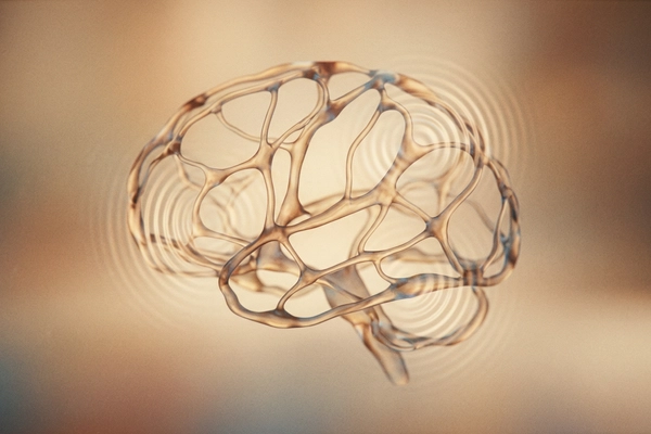 Hero banner illustration for "Brain's Drainage System: The Bioelectronic Bet Against Alzheimer's"