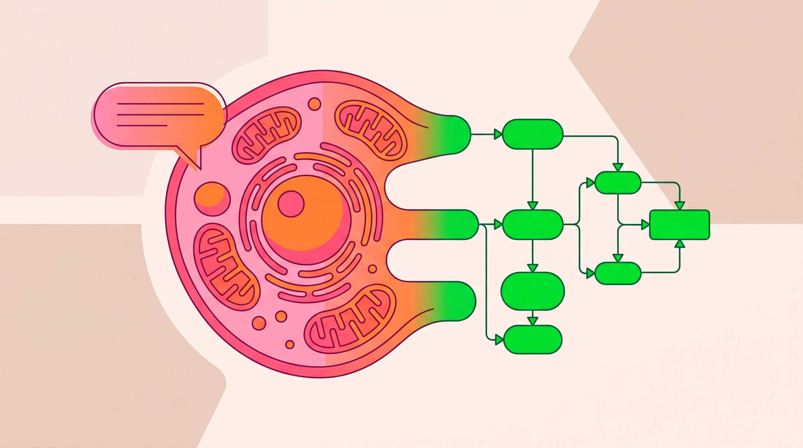 YC-Backed Alchemy Brings AI Image Analysis to Life Sciences Labs