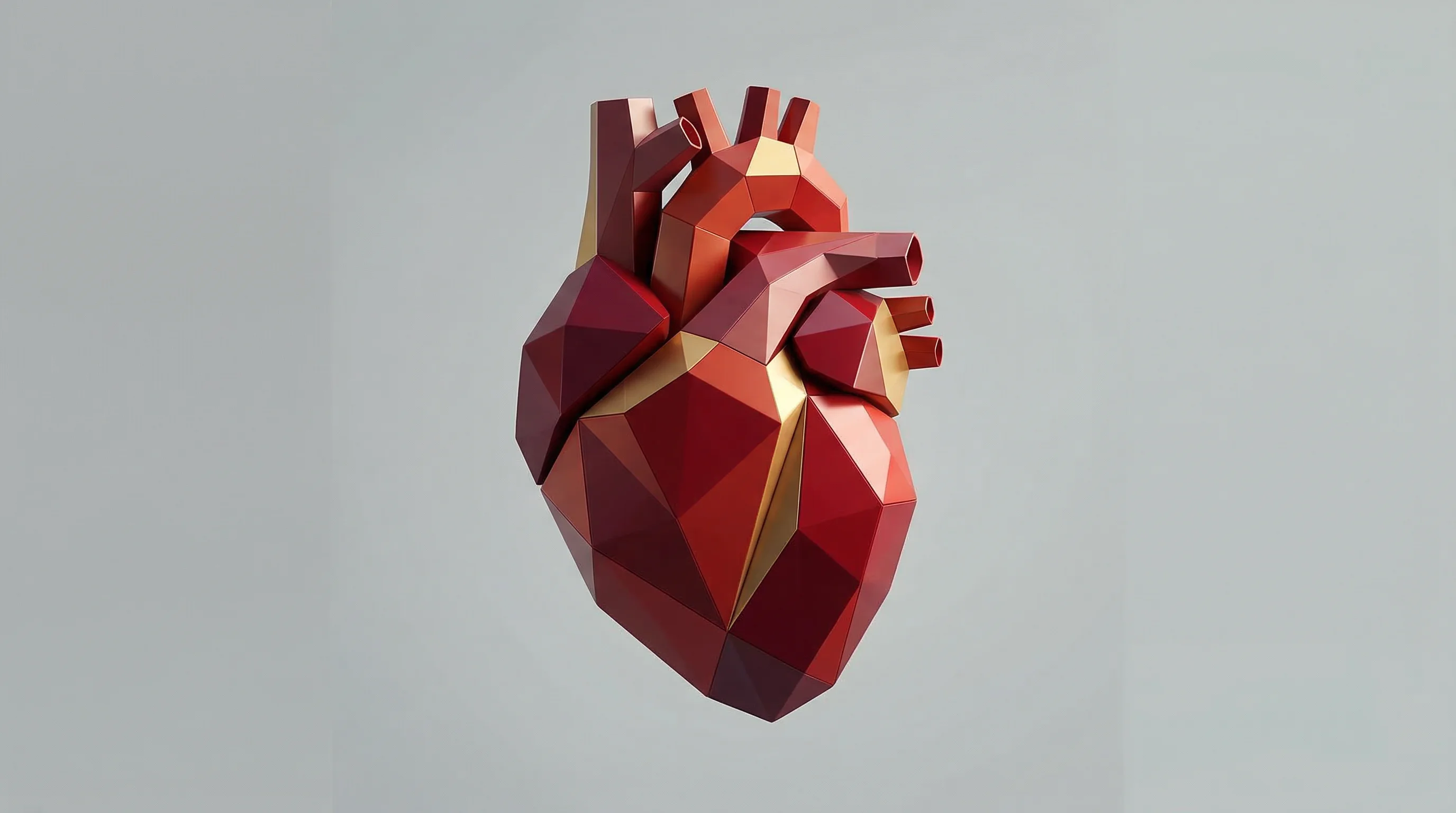 Digital illustration for article section "Where the Money Is (and Isn't)" in "Digital Twins in Healthcare Hit Inflection Point as Data Race Heats Up" - A minimalist, abstract conceptual representation of a human heart serving as the single strong focal...