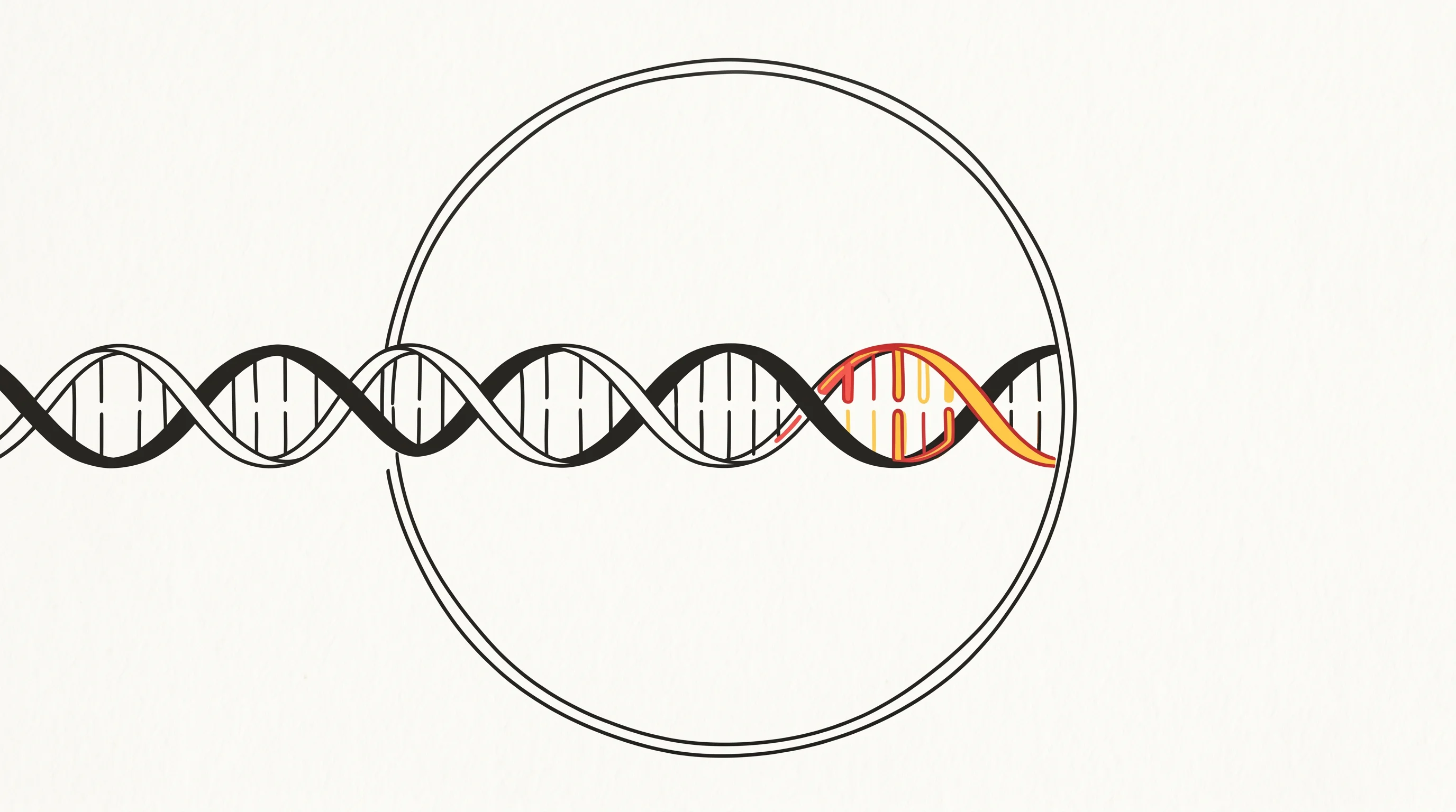 Digital illustration for article section "The Platform: DNA That Knows Where to Go" in "Gramics Bio Launches Seed Round for DNA-Based Cystic Fibrosis Therapy" - A minimalist, conceptual illustration of a single DNA double helix elegantly navigating into a clean...