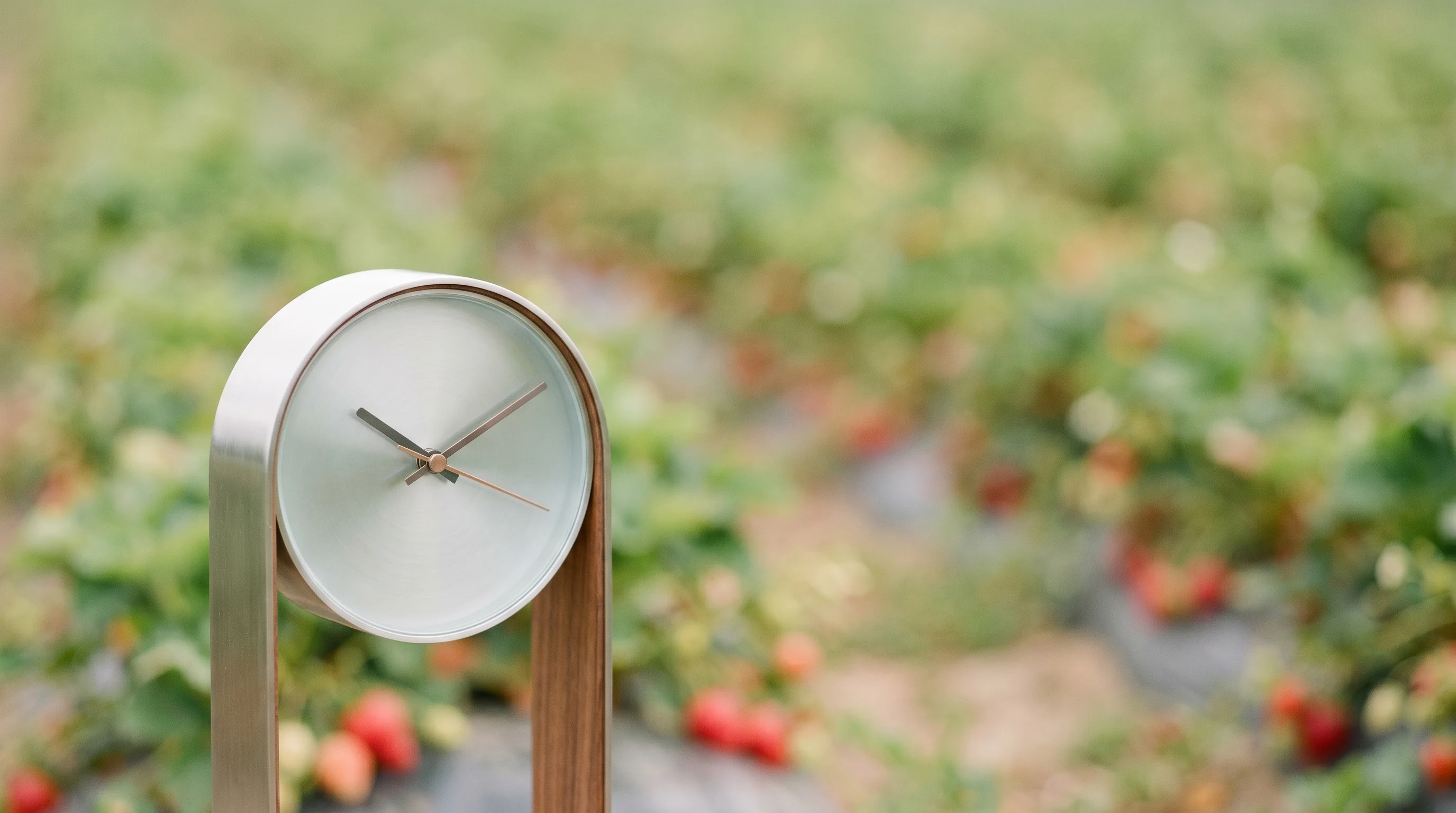Digital illustration for article section "Timing as Strategy" in "YC-Backed Synphony Deploys Strawberry Robots in $3B California Market" - Generate an abstract image representing strategy and timing. This could be something like a clock in...