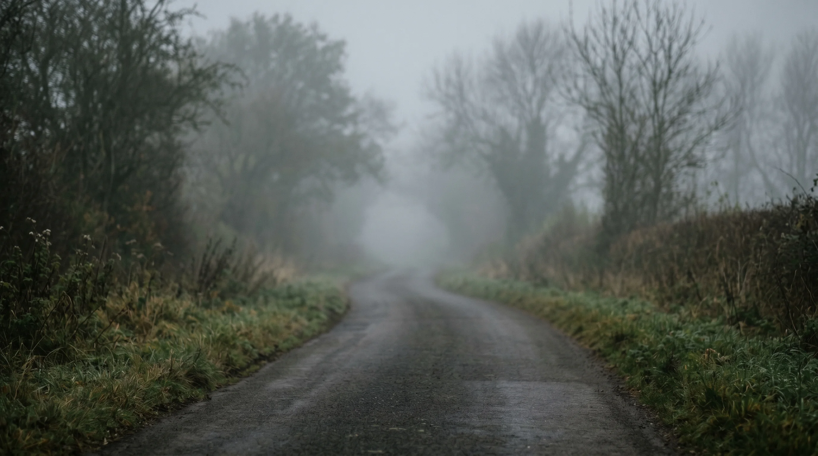 Digital illustration for article section "The Unanswered Questions" in "Armature Launches Testing Platform for AI Agent-Driven Products" - Create an image of a foggy path or road, symbolizing the uncertainties and unanswered questions abou...