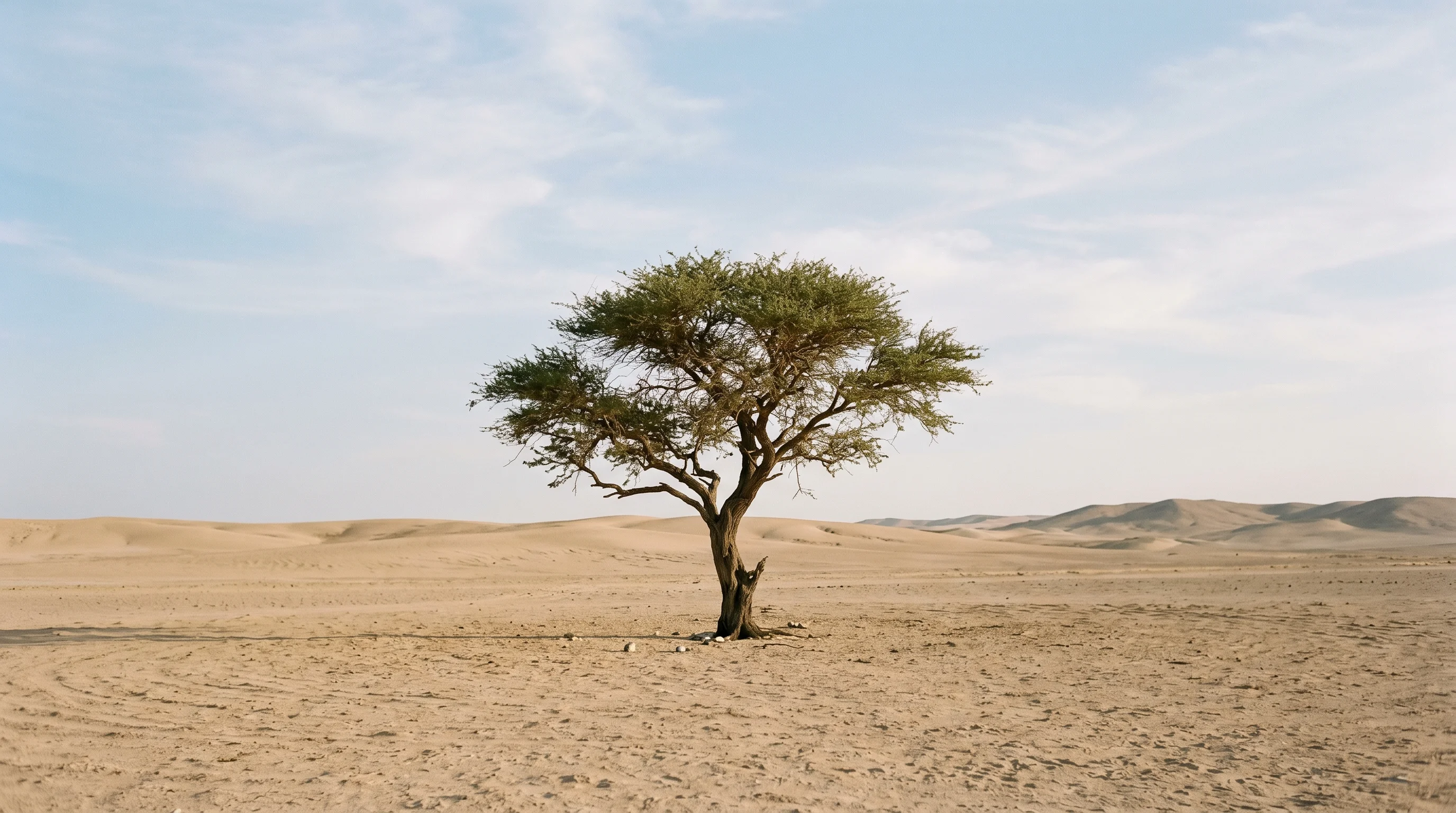 Digital illustration for article section "The Reckoning" in "The Real-World Data Rush: How AI Labs Are Solving Training Data Scarcity" - Create an image of a barren landscape, perhaps a desert, with a single, robust tree growing in the m...