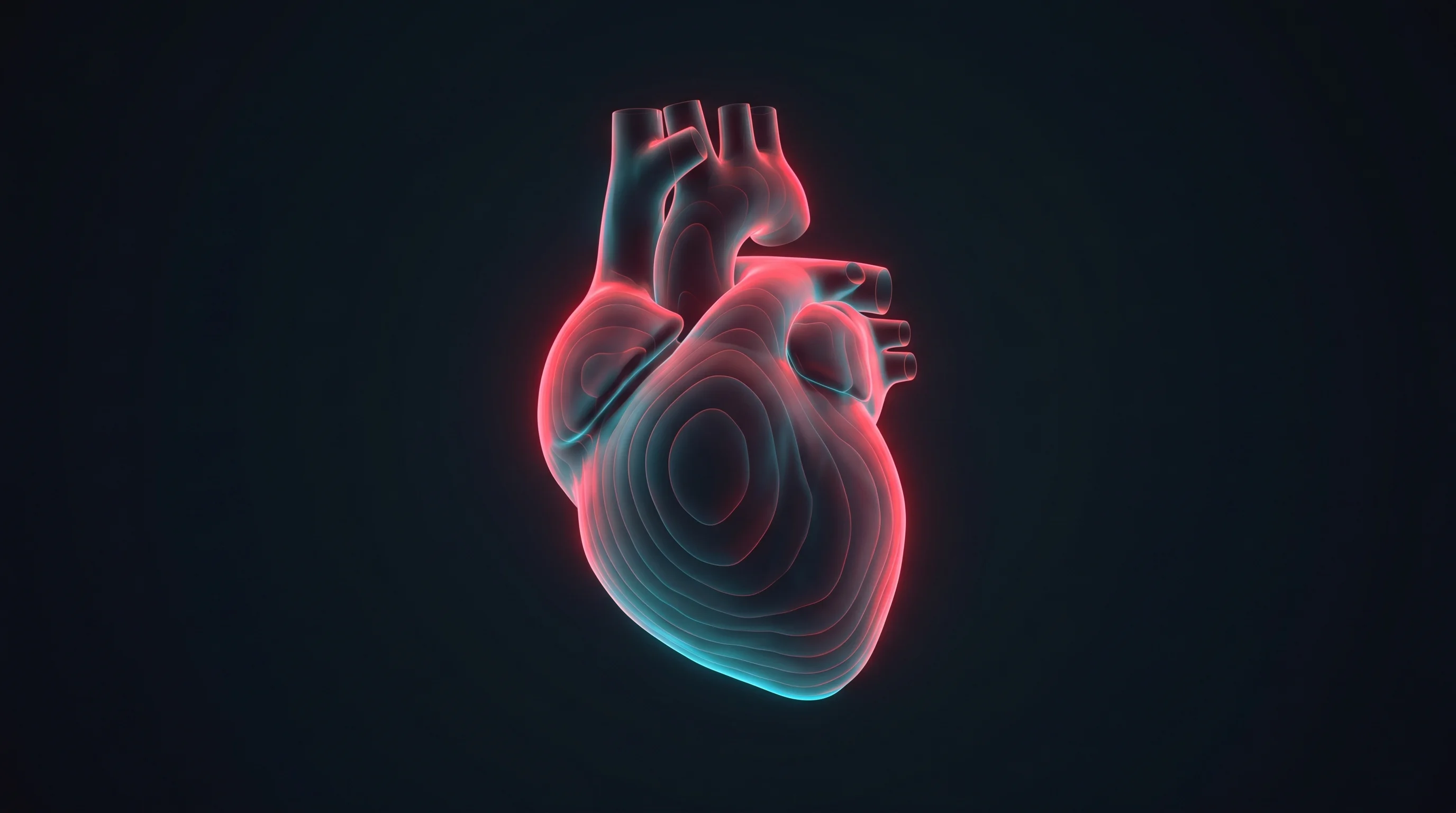 Digital illustration for article section "The Allure (and Challenge) of 3D" in "YC-Backed Lumius Aims to Democratize 3D Ultrasound for Procedures" - A clean, minimalist composition featuring a conceptual 3D volumetric reconstruction of a human heart...