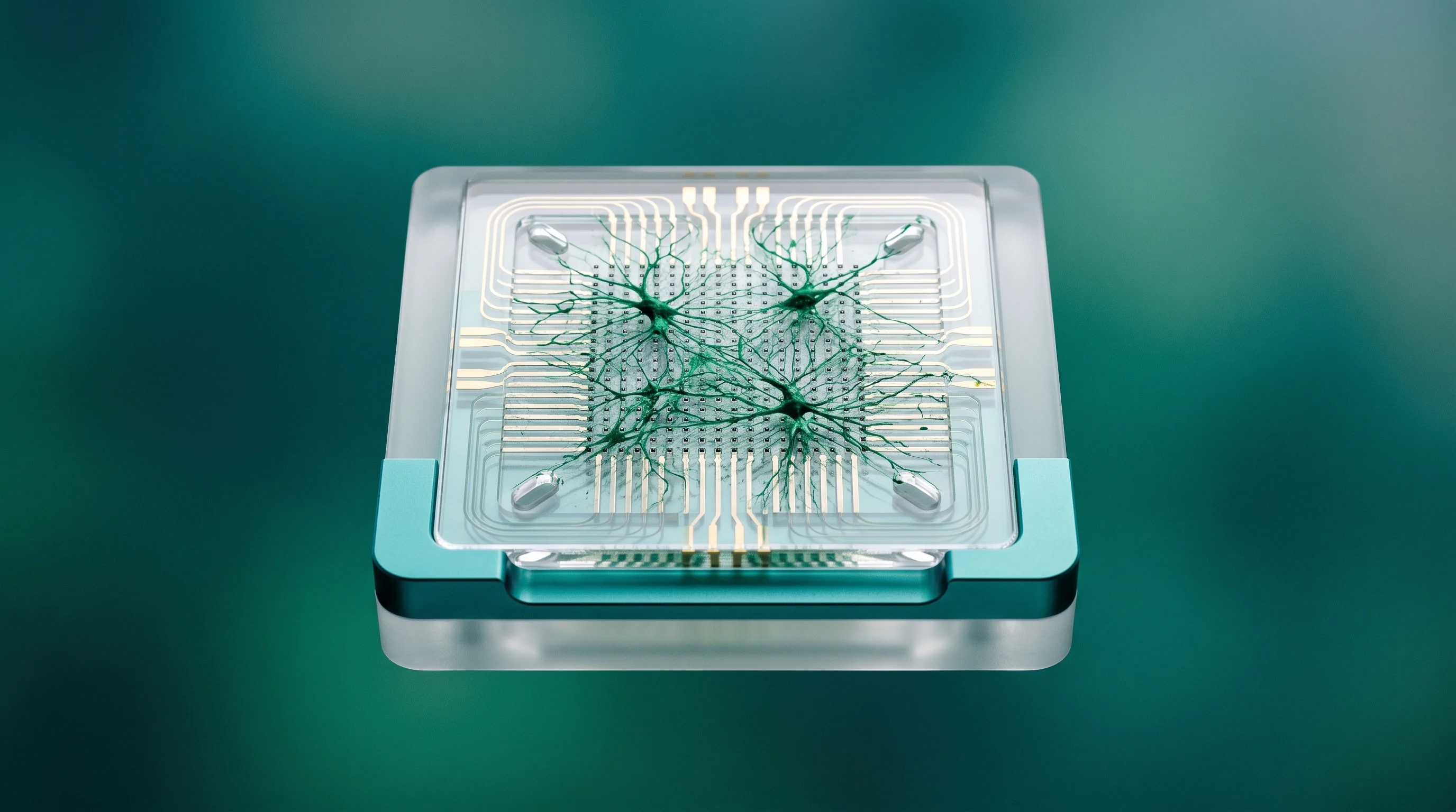 Digital illustration for article section "Inside the Wetware Stack" in "Brain Cells as Computers: Inside the Biotech Race to Power AI" - A clean, minimalist, and surrealist conceptual art photograph representing a biological wetware stac...