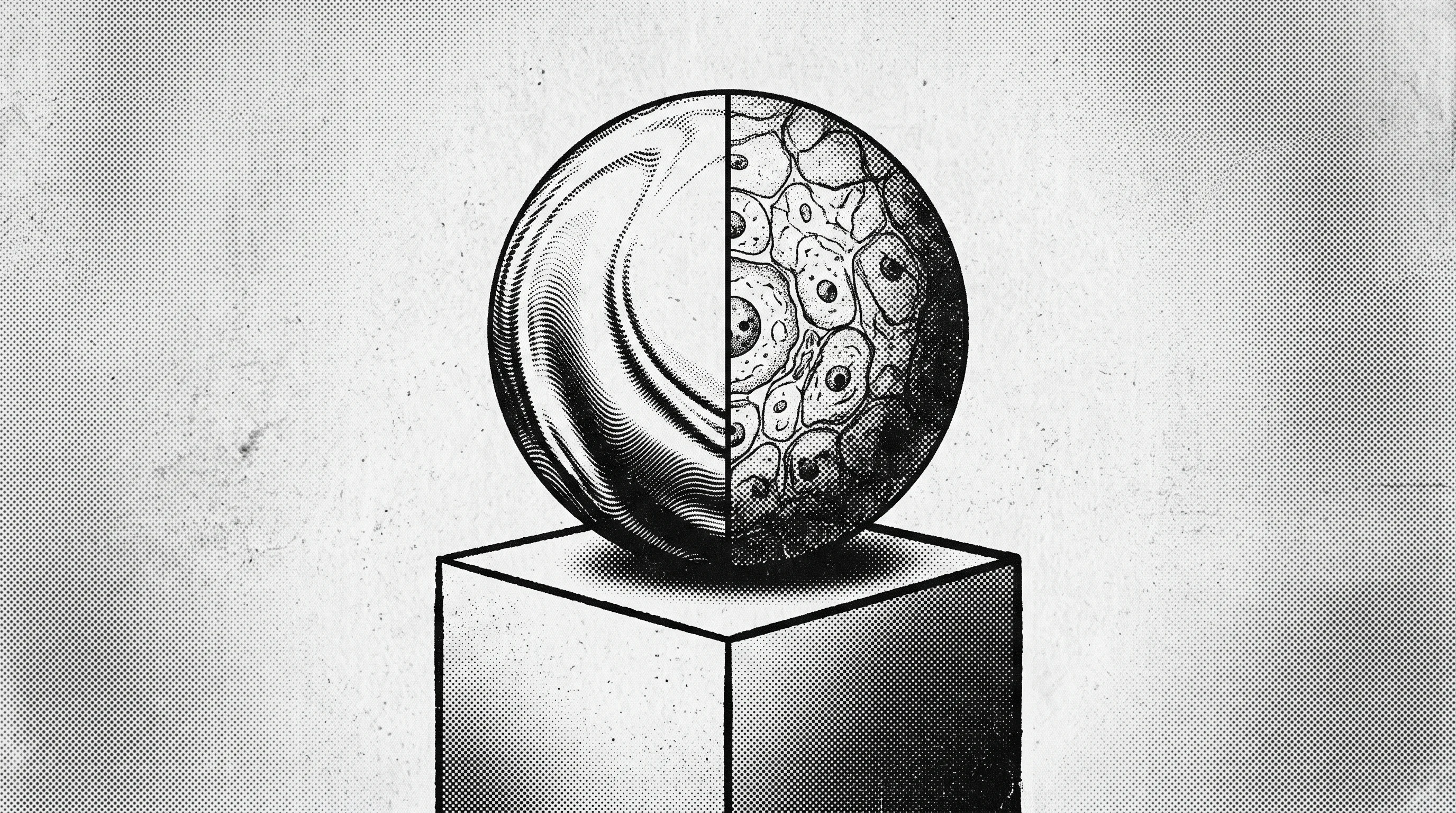 Digital illustration for article section "The Modest Milestone" in "From Lab Meat to Lipstick: IntegriCulture's Profitable Pivot" - A clean, minimalist conceptual composition featuring a single, perfectly balanced sphere resting on ...
