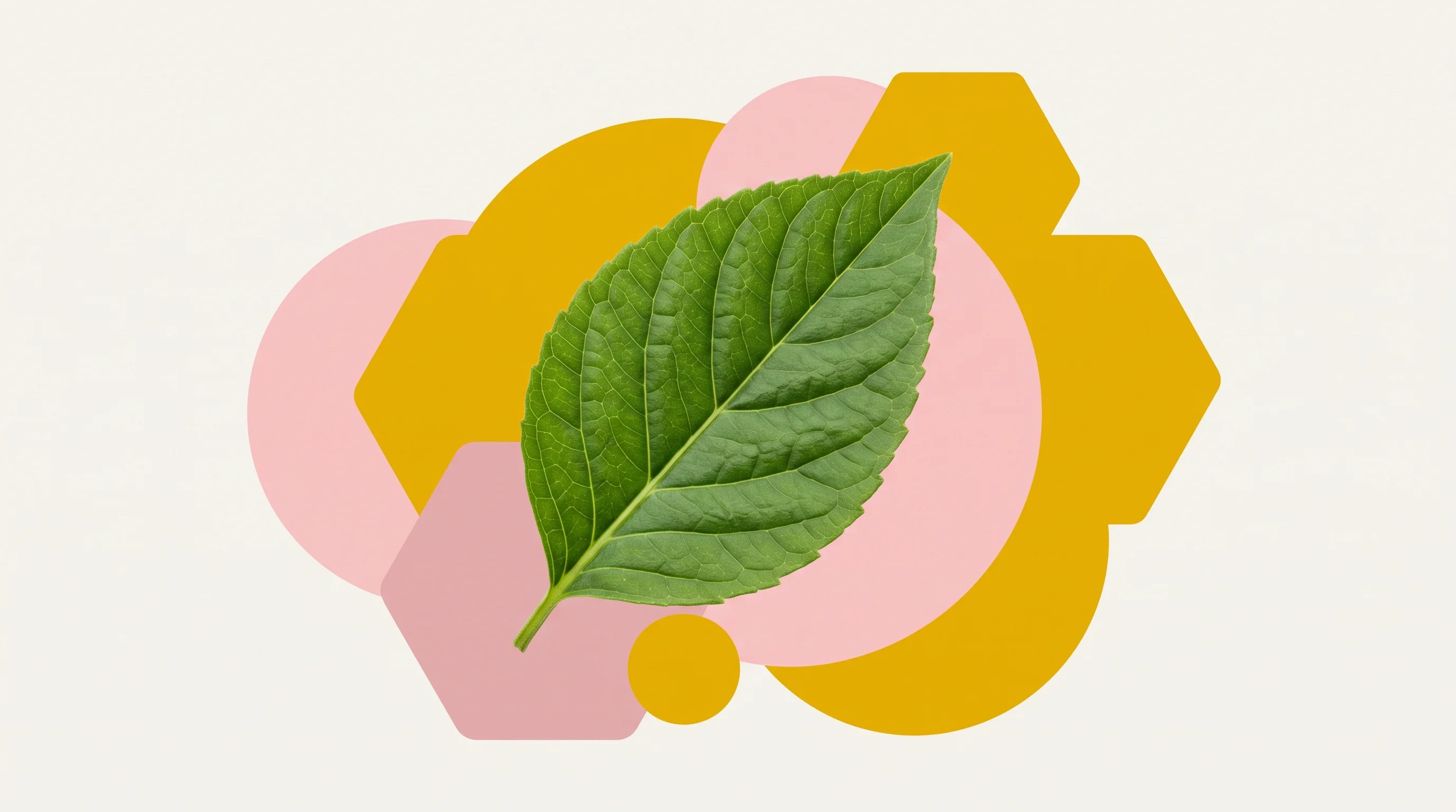 Digital illustration for article section "A Crowded Field of AI Contenders" in "Quercus Bio Raises $5M to Replace Pesticides with AI-Designed Proteins" - A clean, minimal composition featuring a single, vibrant green crop leaf serving as the central foca...