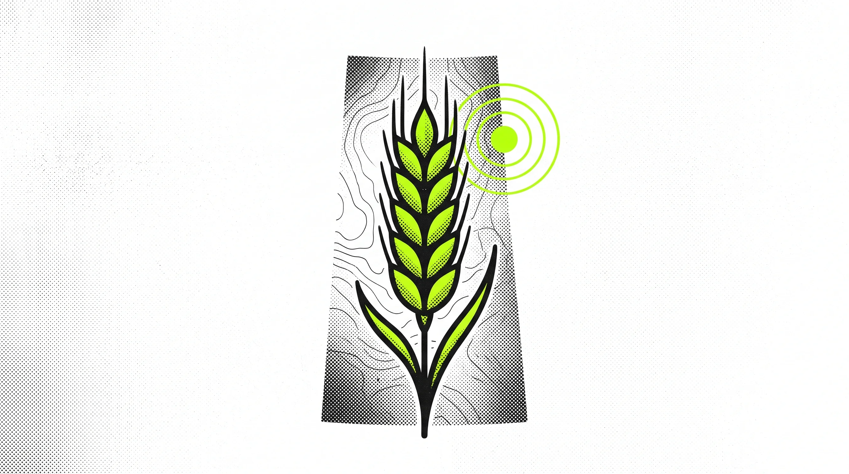 Digital illustration for article section "North American Ambitions" in "BioScout's AI Disease Sensors Draw Strategic AgTech Investors" - A bold, minimalist conceptual artwork representing North American agricultural expansion and crop di...