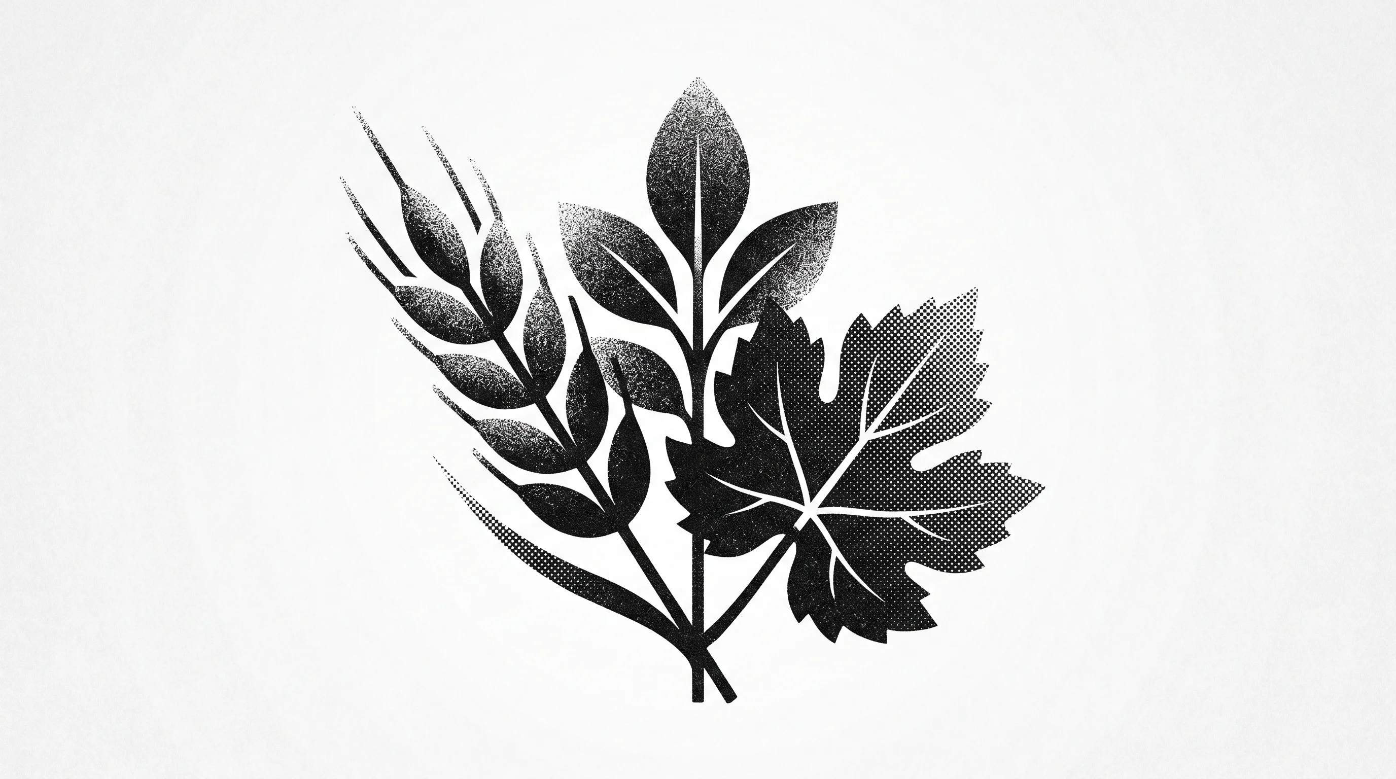 Digital illustration for article section "What Success Looks Like" in "BioScout's AI Disease Sensors Draw Strategic AgTech Investors" - A minimalist and conceptual composition symbolizing successful agricultural partnerships across dive...