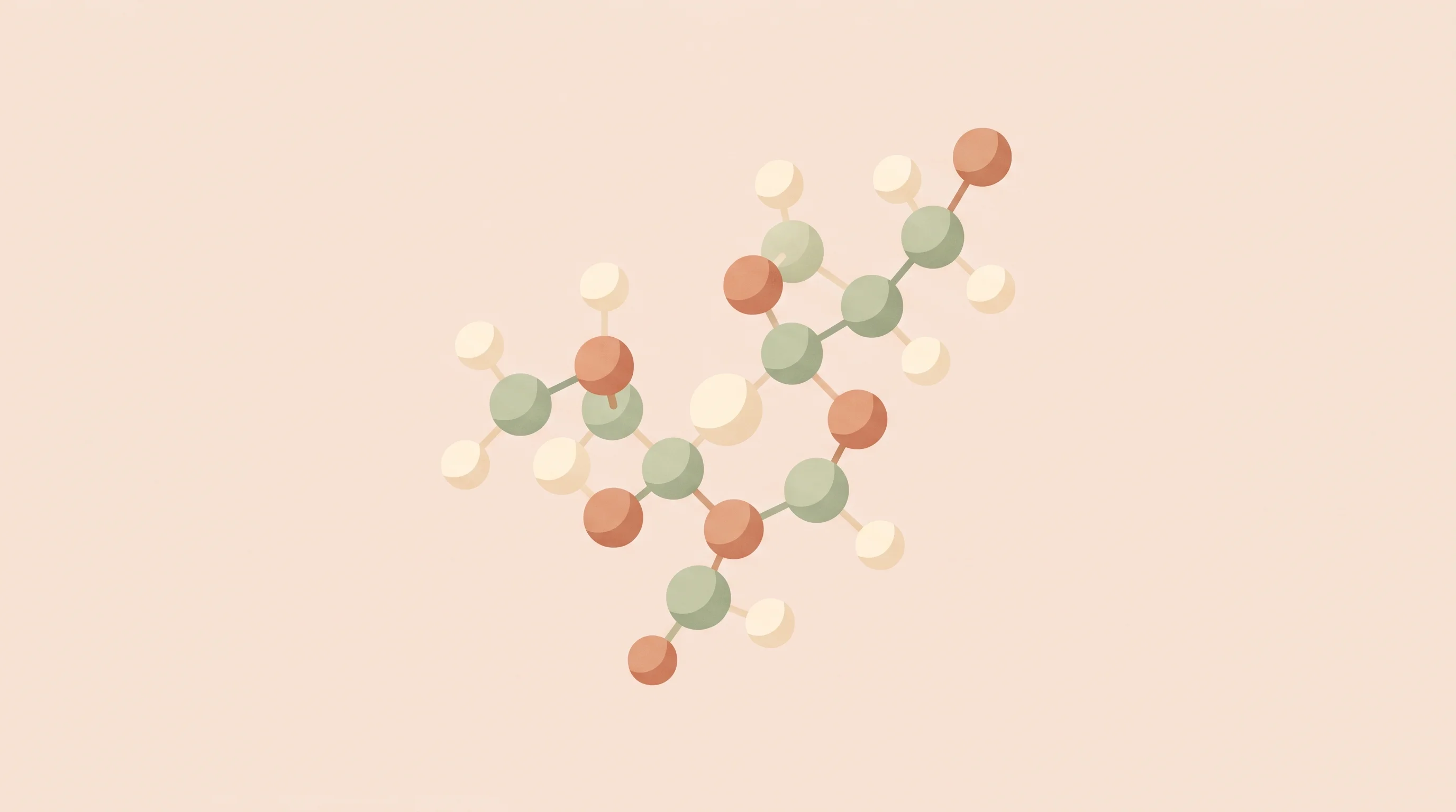 Digital illustration for article section "Where the Money Goes" in "BioGeometry raises $100M+ to design protein drugs with AI" - A minimalist, conceptual illustration of a single, elegant biomolecular protein structure floating i...